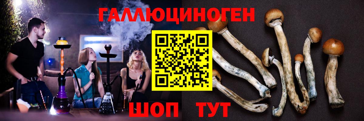 Псилоцибиновые грибы прущие грибы  Вход с VPN  Коркино 